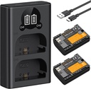 K&F Concept NP-F970 Dual Slot Charger with 2 Pack Battery